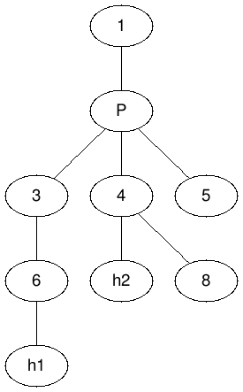 algoritmos-oia:arbol-diametro.png